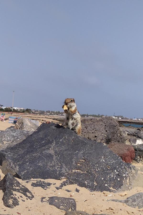 Holiday Rent Fuerteventura Costa De Antigua Exteriör bild